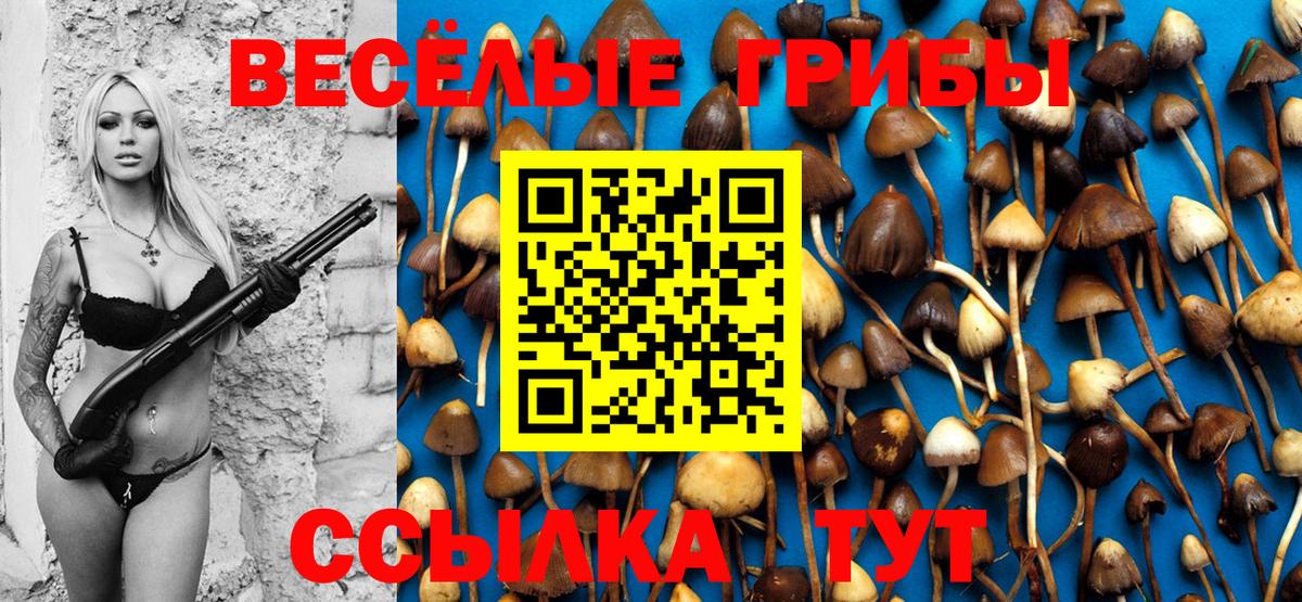 Лысьва  даркнет сайт  Вход с VPN  Псилоцибиновые грибы мицелий 